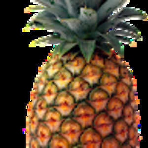 Meet your Posher, Erik